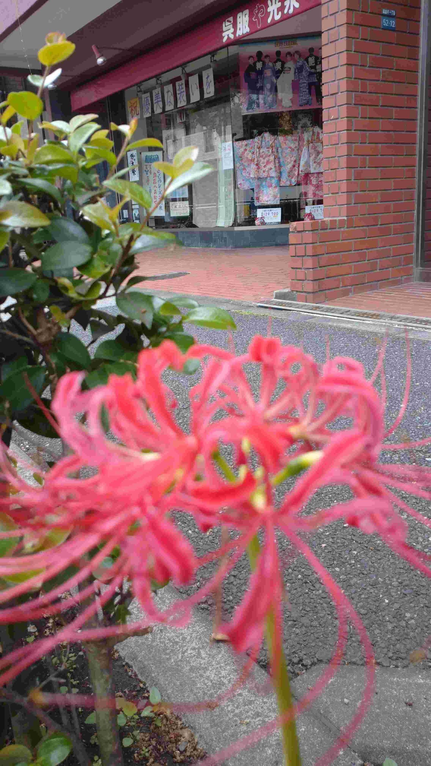 呉服や光永の店頭